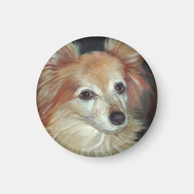 Papillon Magnet (Framsidan)