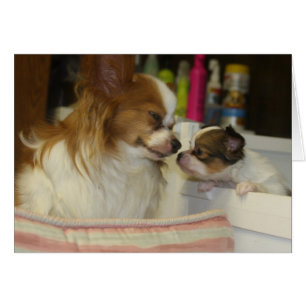 Papillon Mamma och Baby OBS Kort