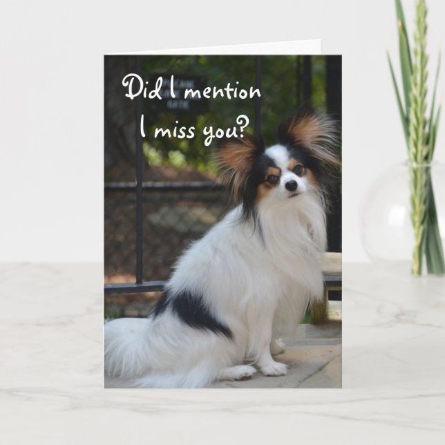 Papillon mig Fröcken som du Card Kort (Framsida)