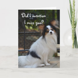 Papillon mig Fröcken som du Card Kort