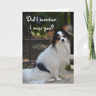 Papillon mig Fröcken som du Card Kort
