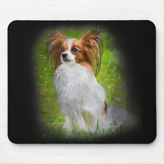papillon,papilon,papillon hundar,papillon hund, mu musmatta (Framsidan)