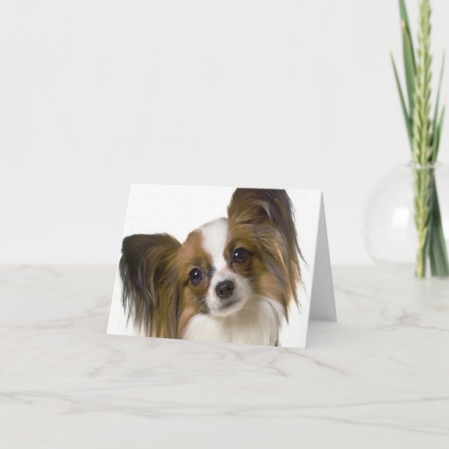 papillon.png kort (Framsida)