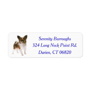 Papillon Puppy Hund Blue Returadress Etikett