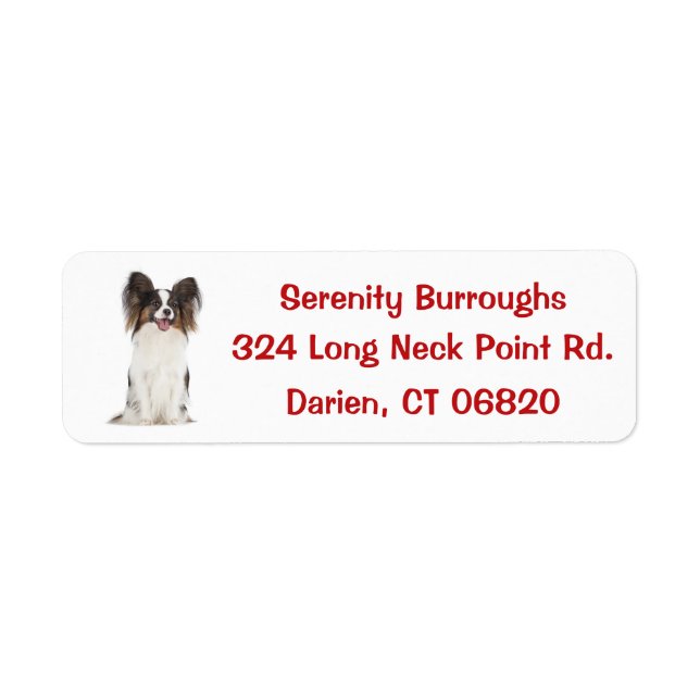 Papillon Puppy Hund Red Returadress Etikett (Framsidan)