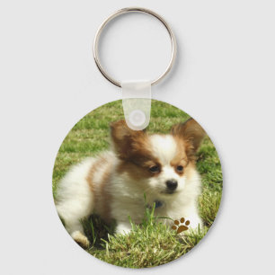Papillon Puppy Nyckelring