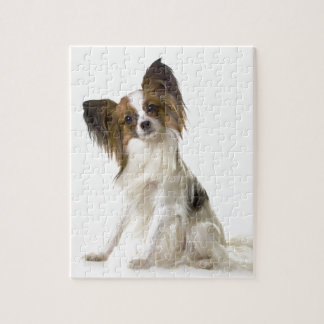 Papillon Pussel