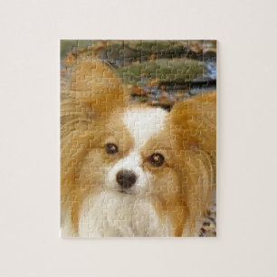 Papillon Pussel