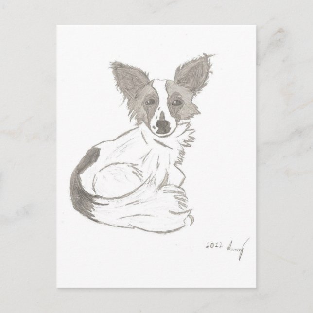 Papillon Sketch-vykort Vykort (Framsida)