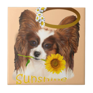 Papillon Solskenor Kakelplatta