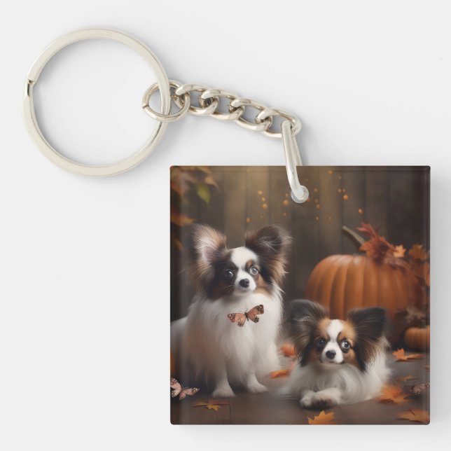 Papillon Valp Höstglädje Pumpa (Framsidan)