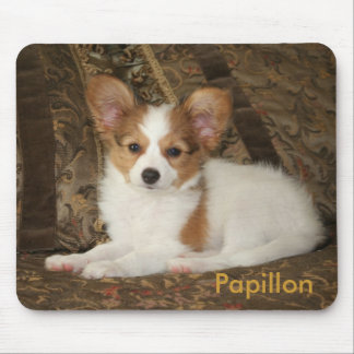 Papillon valp Mousepad Musmatta