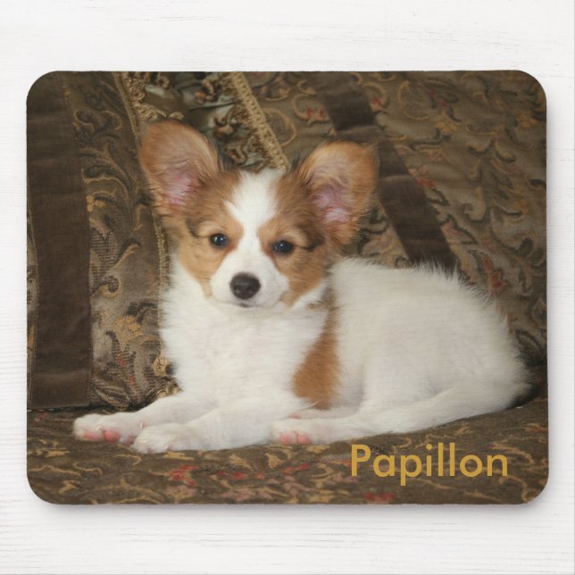 Papillon valp Mousepad Musmatta (Framsidan)