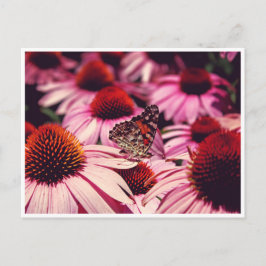 Papillon Vykort