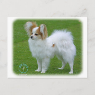 Papillon Vykort
