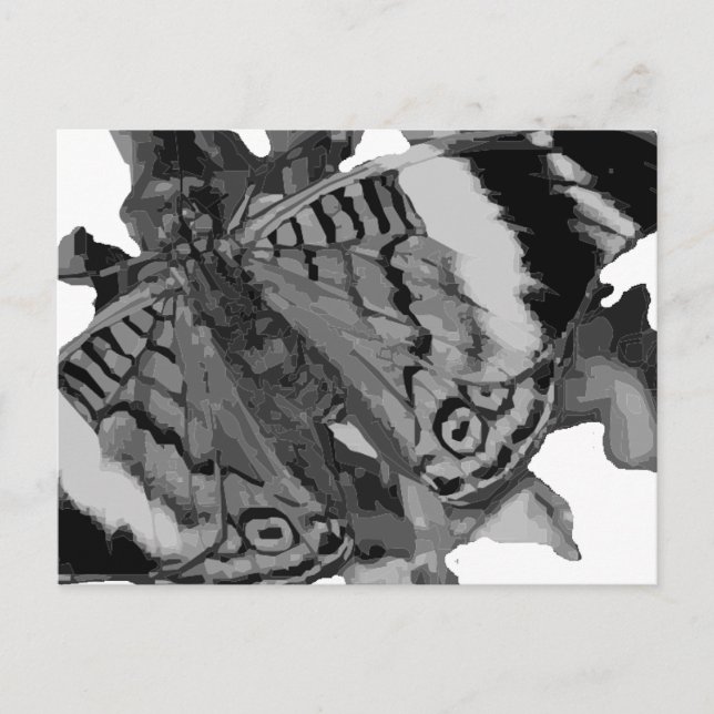 papillon vykort (Framsida)