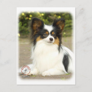 Papillon Vykort