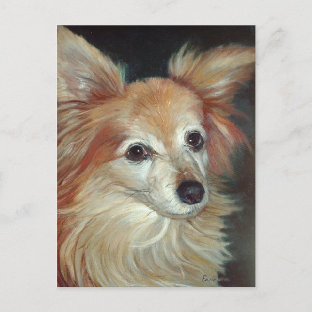 Papillon-vykort Vykort (Framsida)