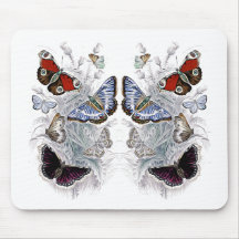 papilloner