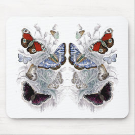 papilloner musmatta