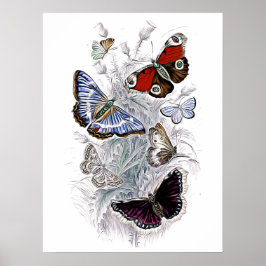 papilloner poster
