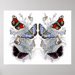 papilloner poster