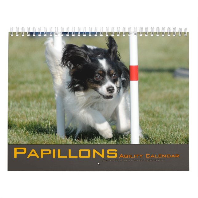 Papillons Agilitykalender 2012 Kalender (Omslag)