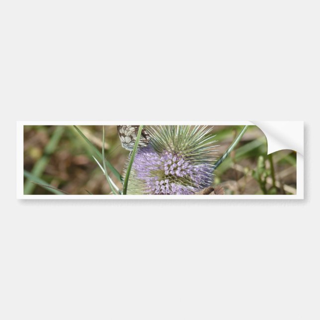 Papillons Bildekal (Framsidan)