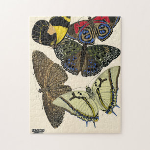 Papillons, Butterflies, Plate No.12 by E. A. Seguy Pussel