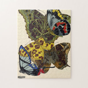 Papillons, Butterflies, Plate No.15 by E. A. Seguy Pussel