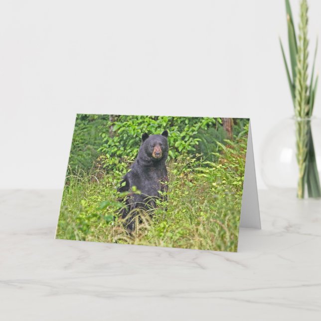 Pappa Bear Fars dag Kort (Framsida)