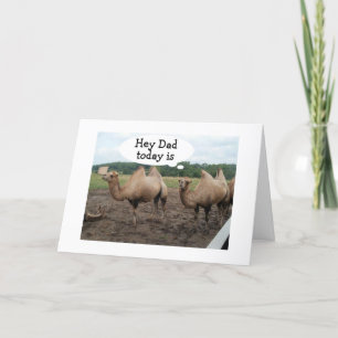 **PAPPA** CAMELS SÄGER INGEN HUMP-DAG - DET ÄR DIN KORT