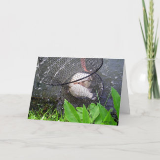 Pappa catch of the day kort