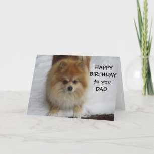 "PAPPA" GRATTIS PÅ FÖDELSEDAGEN SÄGER POMERANIEN KORT