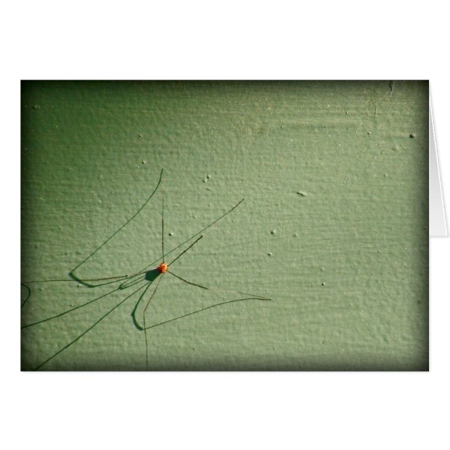 Pappa Long Ben OBS Kort (Framsidan Horizontal)