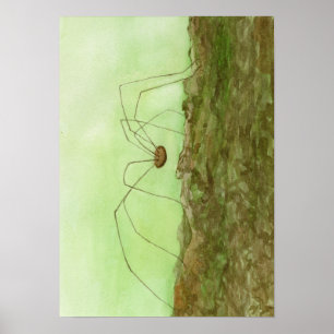 Pappa Long Ben Poster