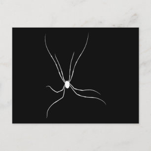 Pappa Longleg Spider Vykort