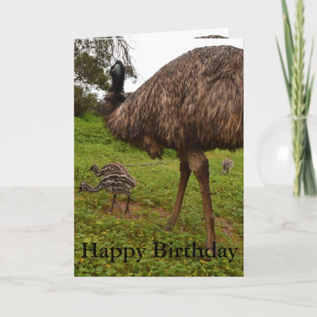 Pappa och Baby Emu Chickar, födelsedagskort. Kort (Framsida)