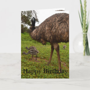 Pappa och Baby Emu Chickar, födelsedagskort. Kort