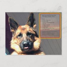 Pappa Oven Barbecue Spareribs Recipe Postcard Vykort