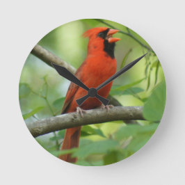 Pappa Singing! Rund Klocka