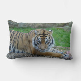 Pappa Tiger Lumbar Pillow Lumbarkudde
