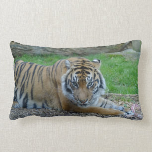 Pappa tiger lumbarkudde
