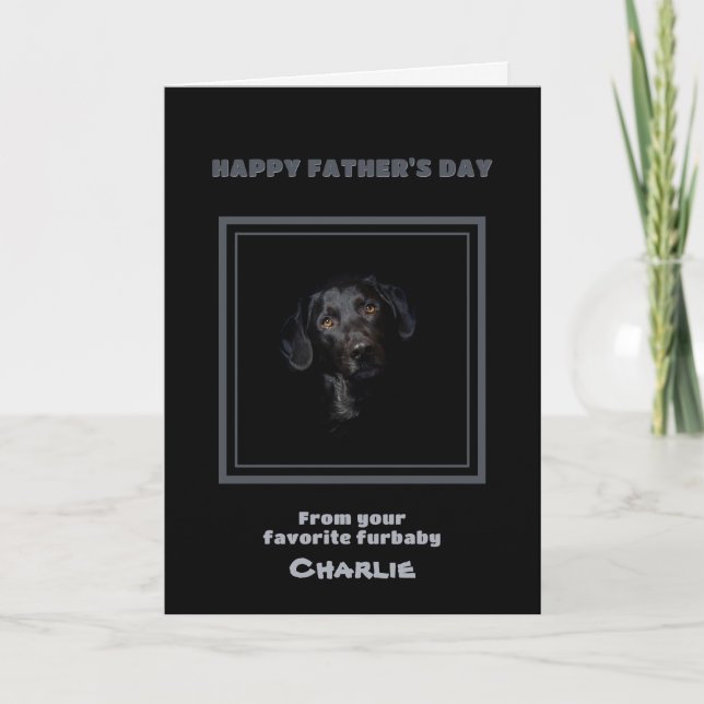 Pappa till hund Foto Farsdagskort Kort (Framsida)