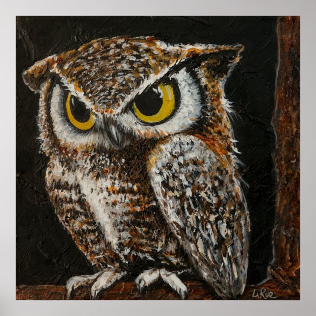 Pappa Uggla, fågelfjädrar Poster (Framsidan)