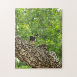 Pappa Woodduck Pussel