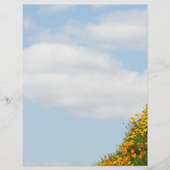 papper blå himmel White Clouds Sommarflygare Reklamblad (Framsidan)