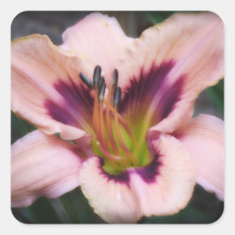 Papper Butterfly Daylily Fyrkantigt Klistermärke