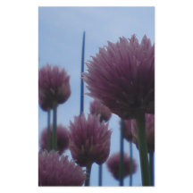 Papper - Chives-bild 1