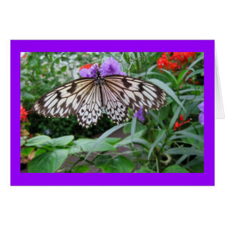 Papper drakefjäril hälsningskort